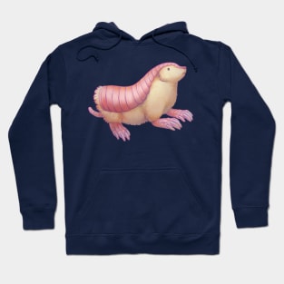 Pink Fairy Armadillo Hoodie